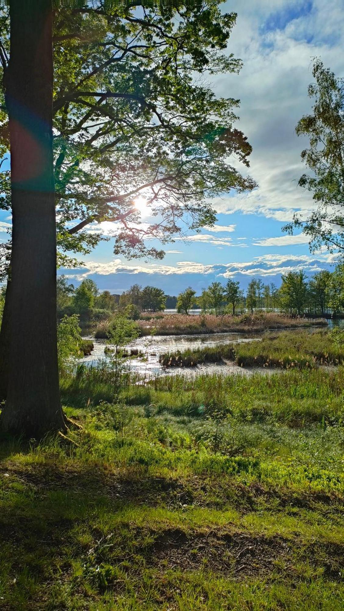 Rekreacni Chata Val Veselí nad Lužnicí Buitenkant foto